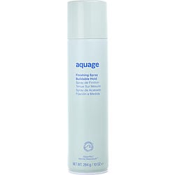 FINISHING SPRAY 10 OZ