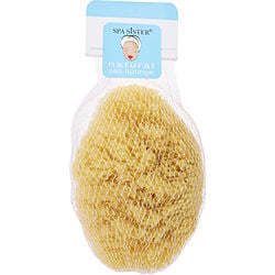 NATURAL YELLOW SEA SPONGE - LARGE