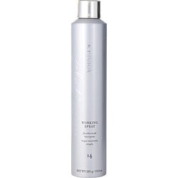 PLATINUM WORKING SPRAY # 14 10 OZ