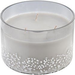 VALE SOY WAX BLEND CANDLE - 25 OZ. BURNS APPROX. 80 HRS.