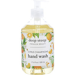CITRUS CHAMPAGNE HAND WASH 17.6 OZ