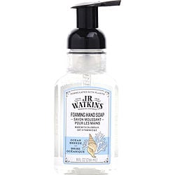 Ocean Breeze Foaming Hand Soap --266ml/9oz